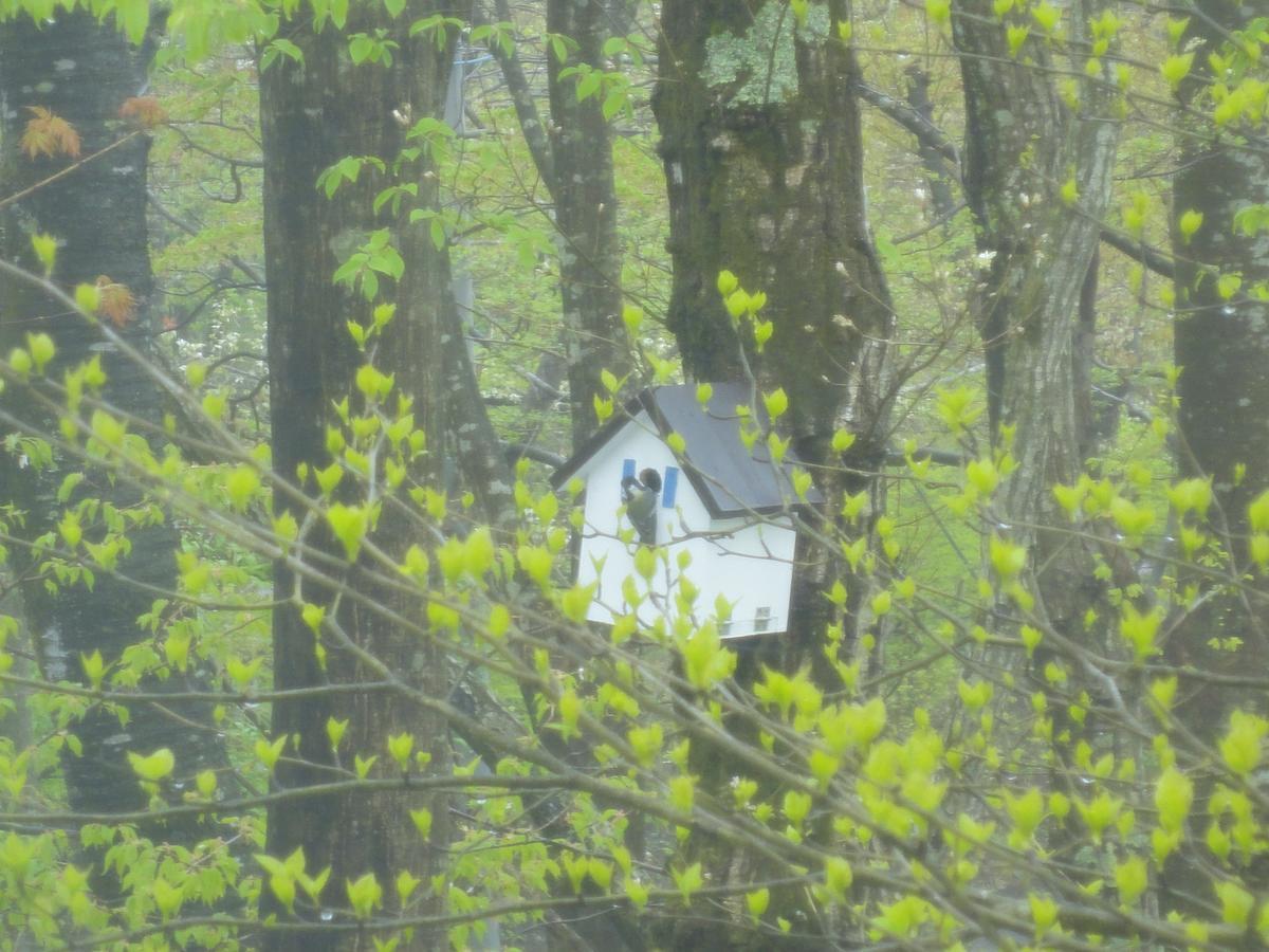 Cozy Inn Antique 나스유모토 외부 사진